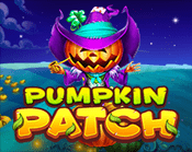 Pumpkin Patch